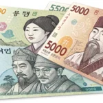 Stylized illustration showing four Korean Won banknotes fanned out, highlighting their different col...
