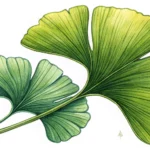 Illustration of a green leaf with a certification seal graphic, symbolizing learning about Korean en...