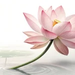 Blooming lotus flower symbolizing skin regeneration in a modern Korean aesthetic, representing learn...